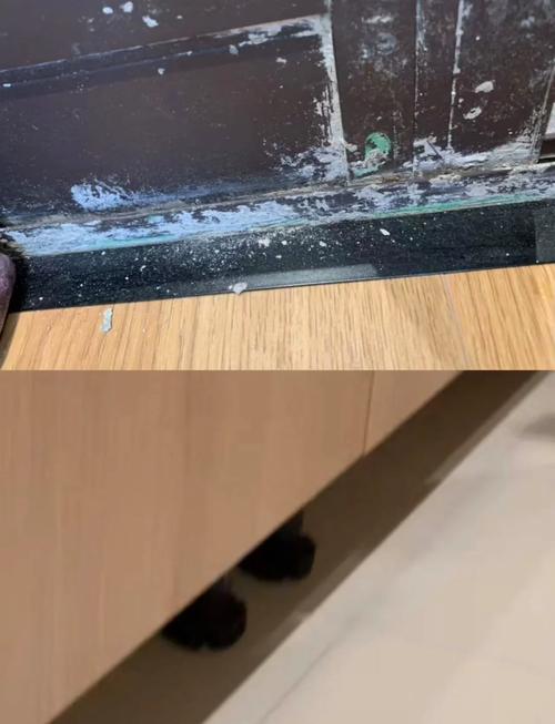 好慷家政保洁服务价格表最新收费标准是多少？