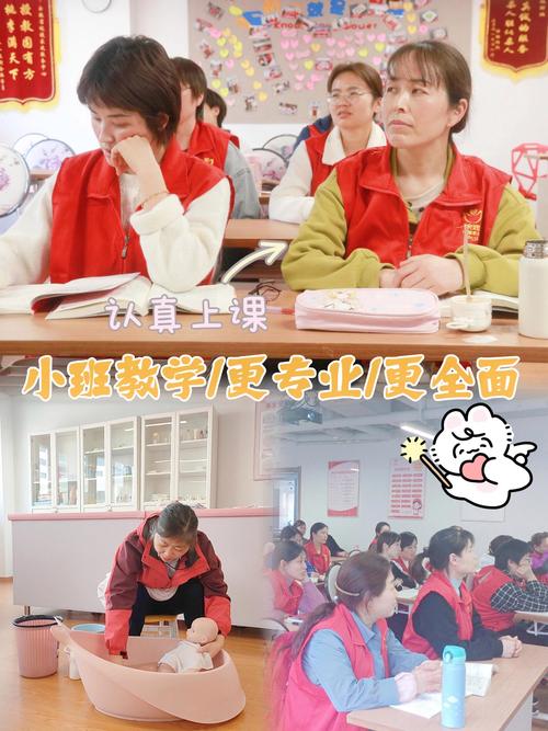 焦作市家政服务哪家好？如何选择靠谱公司？