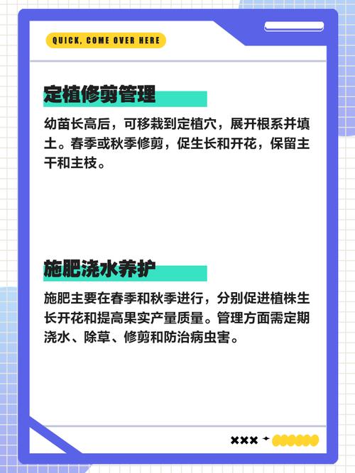 家政加盟怎么开？需要哪些条件和流程？