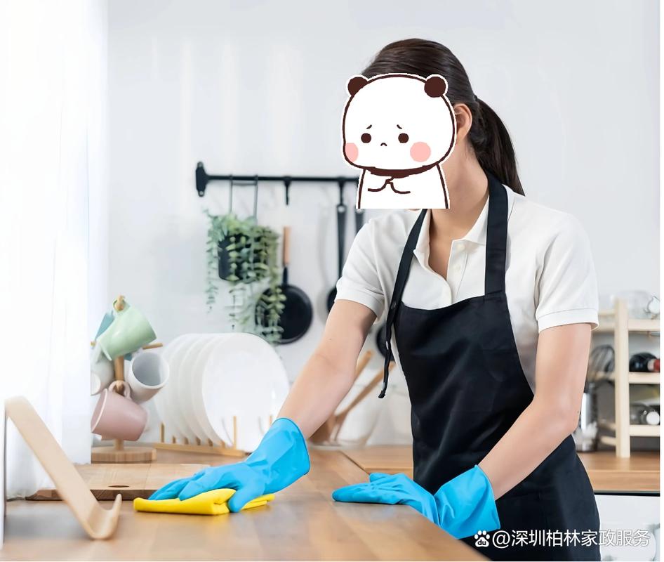 个体家政服务经营范围包括哪些项目？