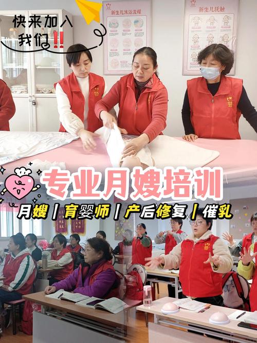 家政培训基础包括哪些核心内容？