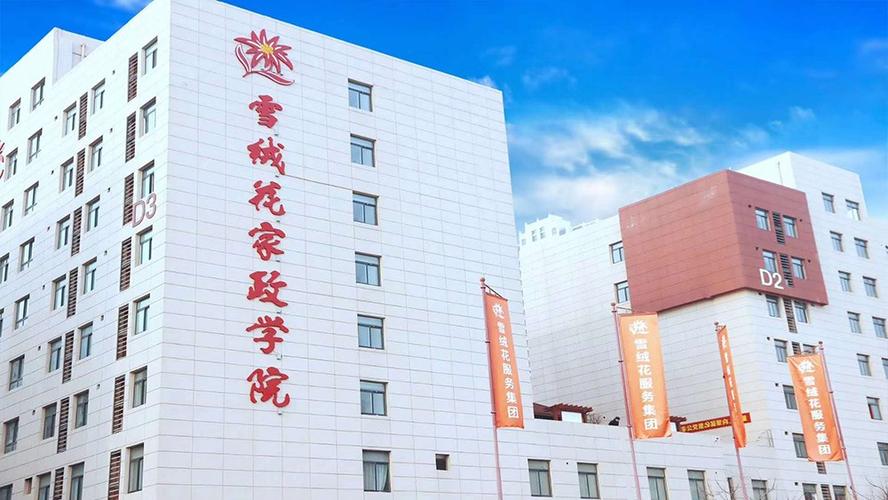 雪绒花家政服务怎么样？值得推荐吗？