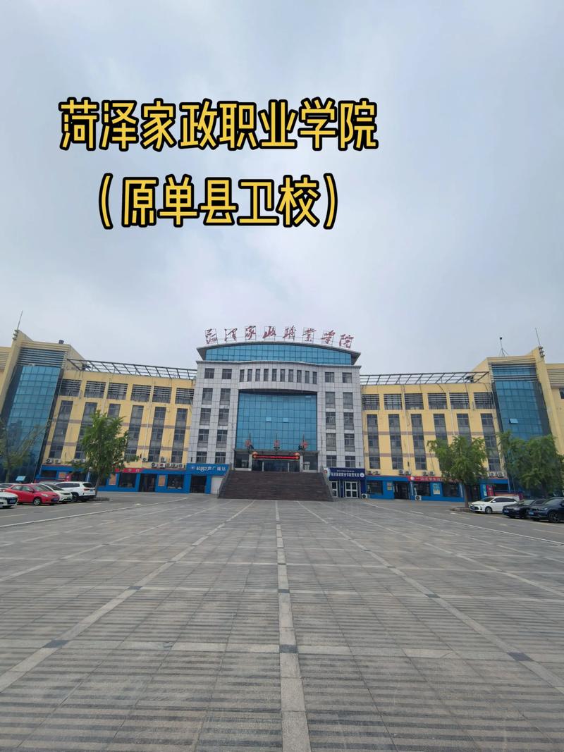 家政服务项目包括哪些？如何选择靠谱的服务？