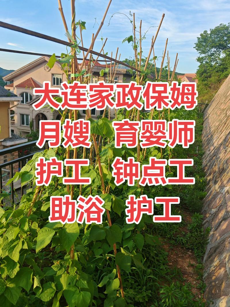 “家政妇为何沦为雇主欺压对象？揭露行业潜规则”