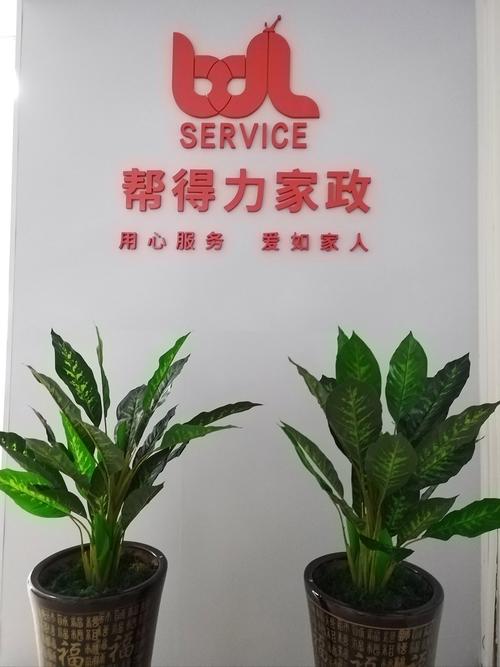 南宁家政公司哪家好？如何选择靠谱的服务？