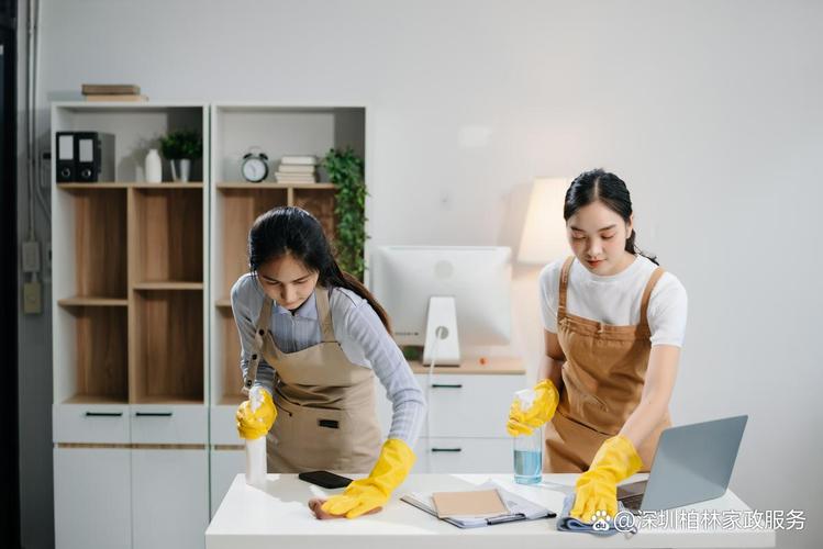 如何制定一份高效的家政公司策划方案？