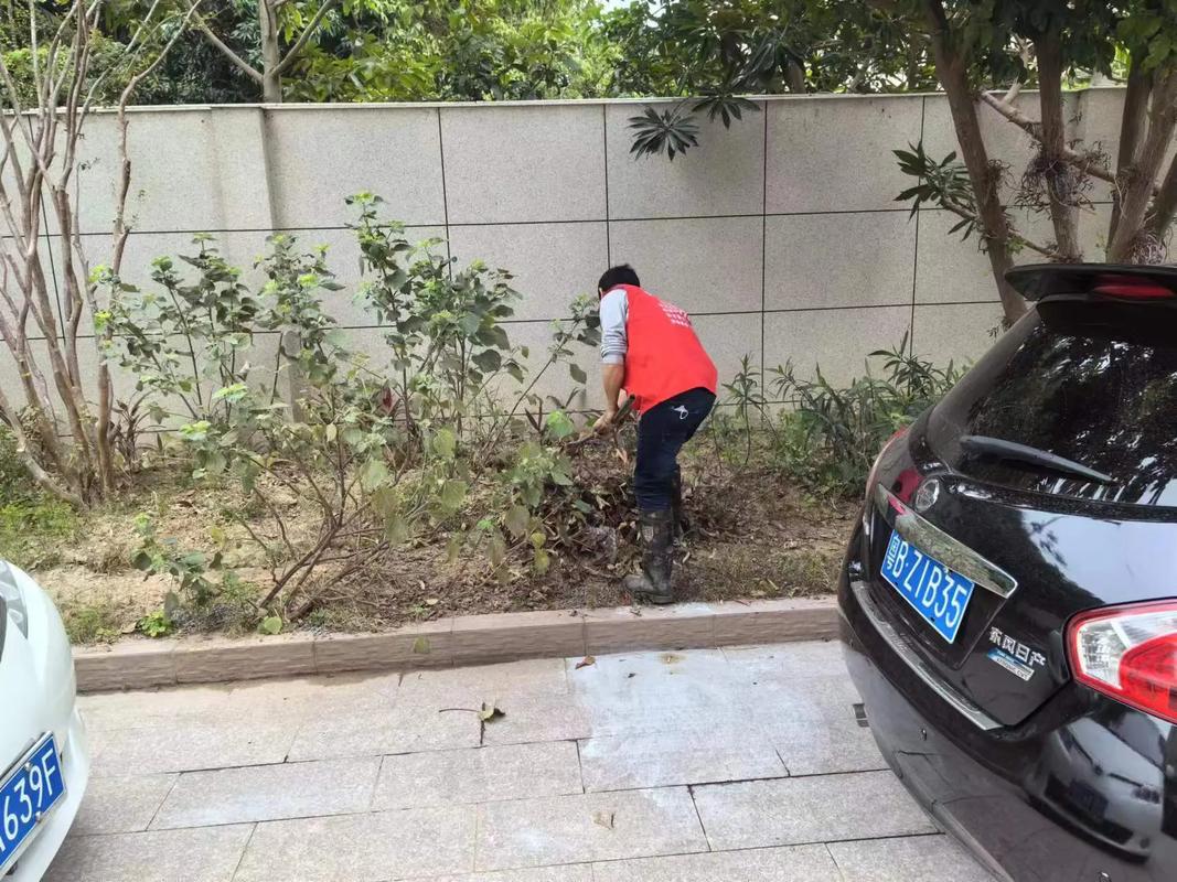 “调教家政妃免费阅读资源在哪找？求推荐！”