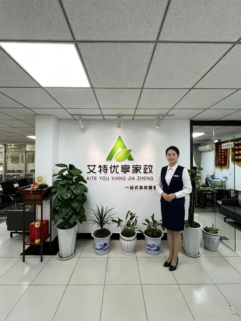 《调教家政妇第十二集》最新剧情走向如何？