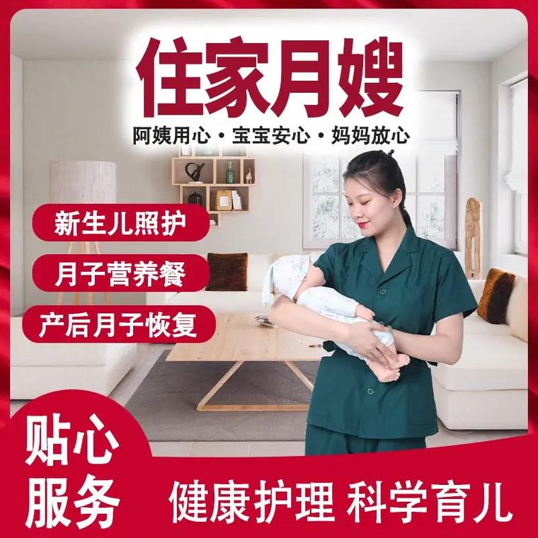 小漫画如何调教家政妇？剧情与笑点解析
