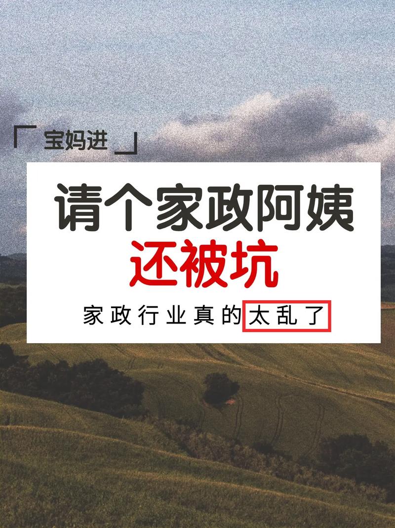 家政服务都包含哪些常见项目？