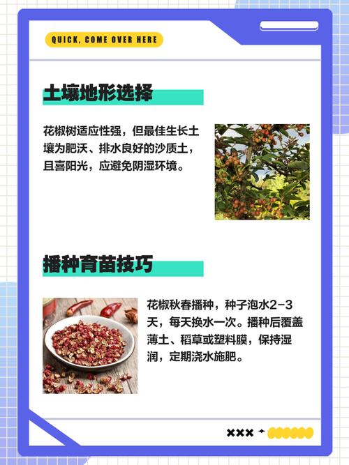 广州家政服务哪家好？如何选择靠谱的生活服务？