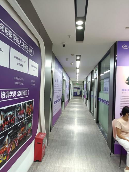“哪家家政公司规模最大？全国排名第一的品牌推荐”