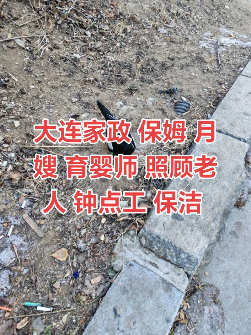大连开发区家政公司哪家靠谱？如何选择？