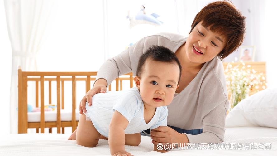 高新区家政服务哪家专业？如何选择靠谱公司？