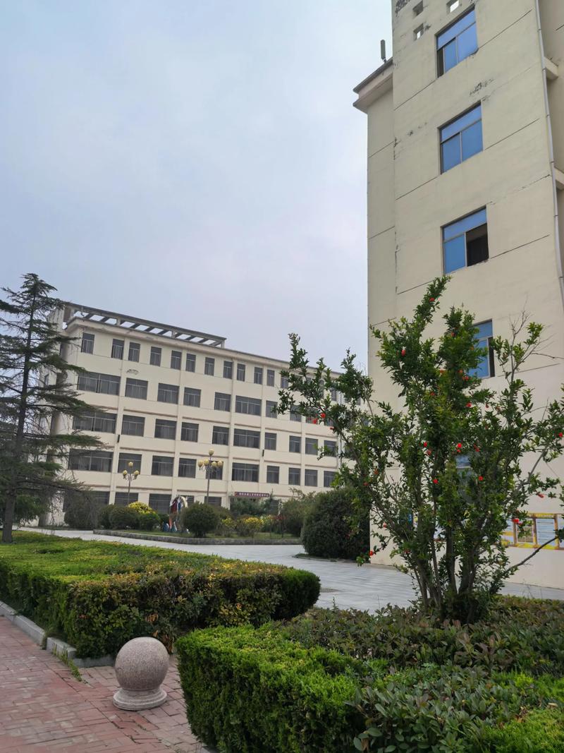 家政市场未来五年发展趋势如何？