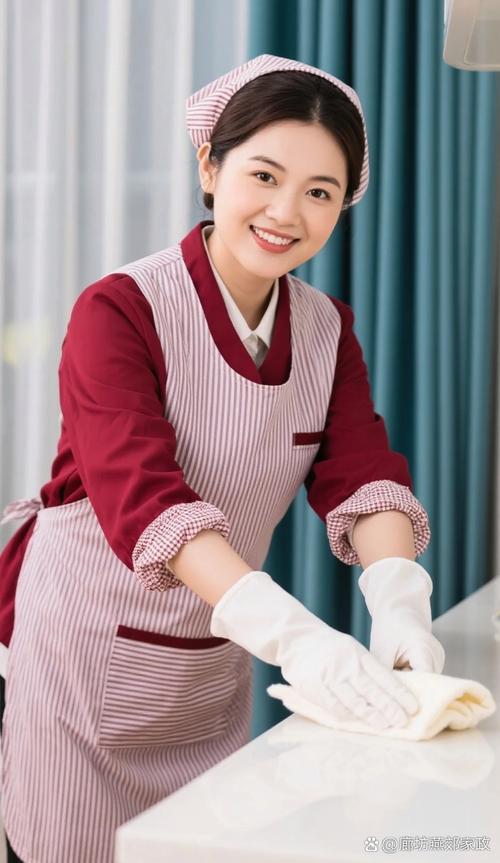高级家政服务员需要具备哪些专业技能和认证标准？