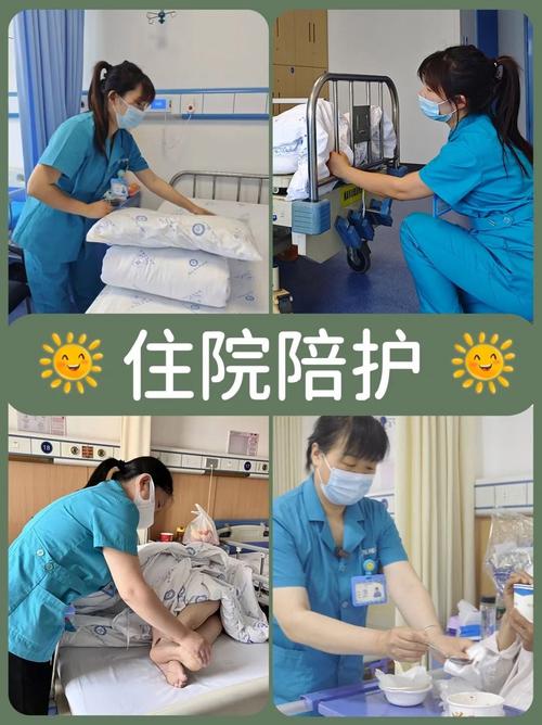 国家政府采购网官网有哪些核心功能与查询方法？